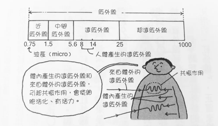 在家也可享受三溫暖烤箱？把整組「遠紅外線健康屋」搬進浴室客廳裡，低耗電又不占空間！